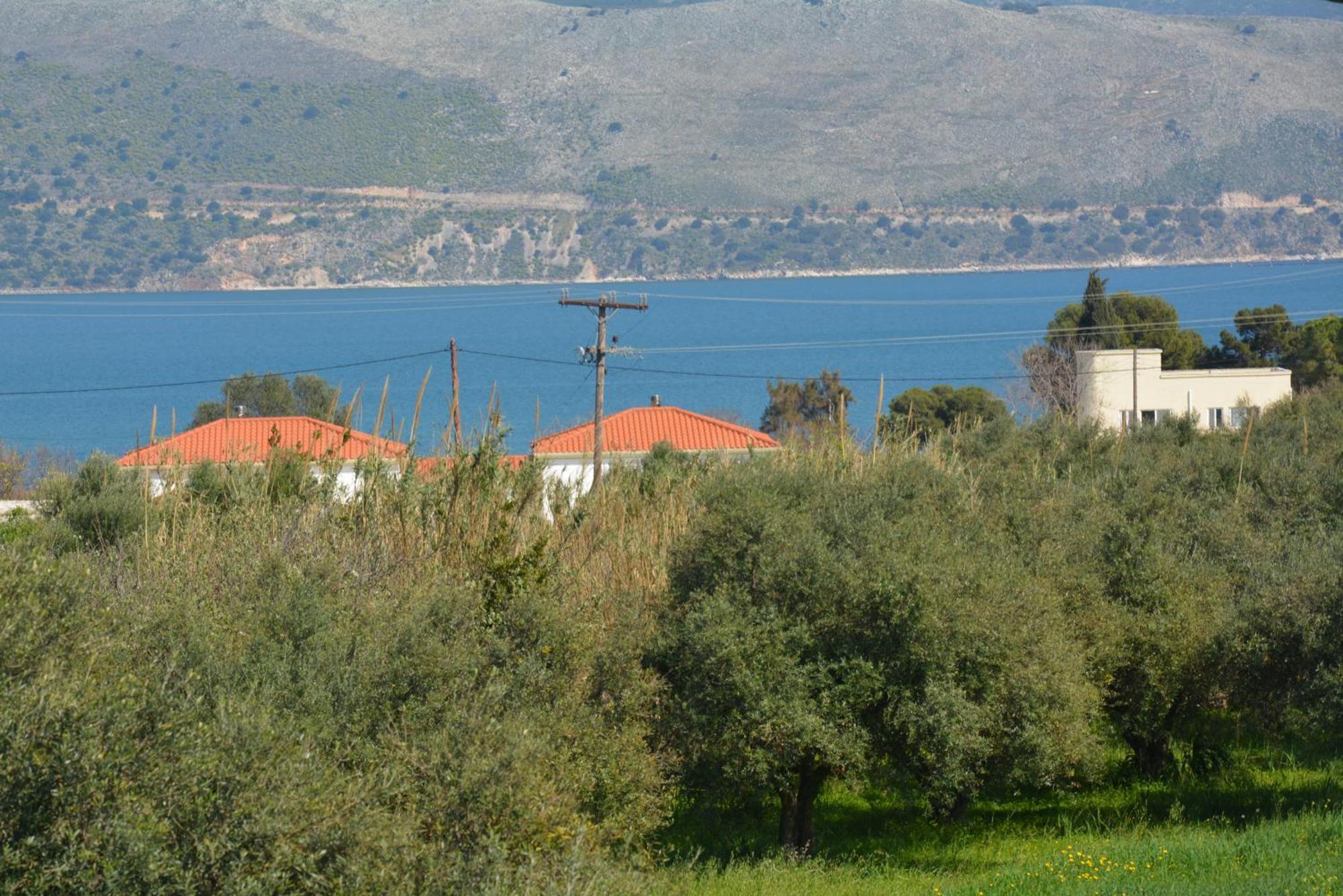 Lotus Sea View Apartments Lixouri Exterior photo